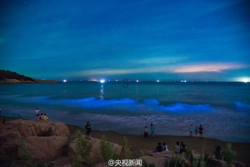 刚上市时产量高价低，元旦后价格回涨