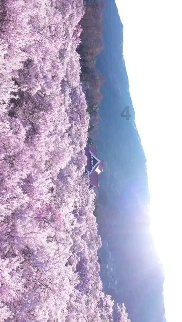 杭企战略重组做大新型建材产业