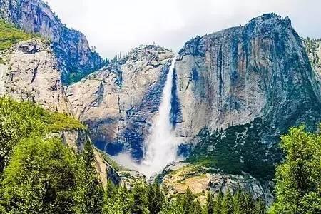 黄瓜开花坐果时能浇尿肥吗?游戏画面